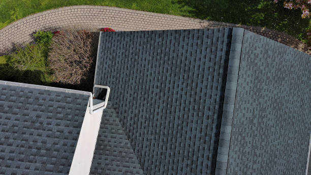 Best Emergency Roof Repair Services  in Newberry, FL